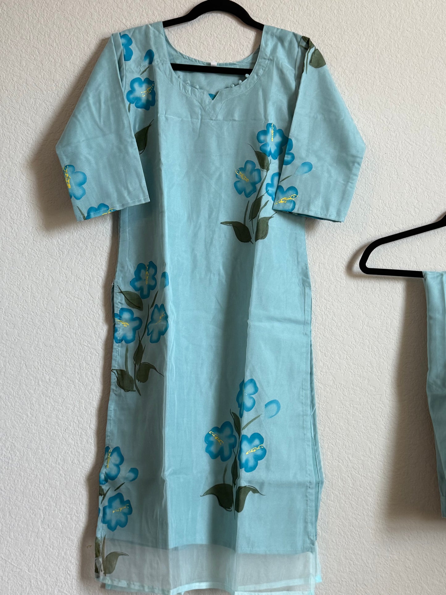 Blue Organza Handpainted Coord Set